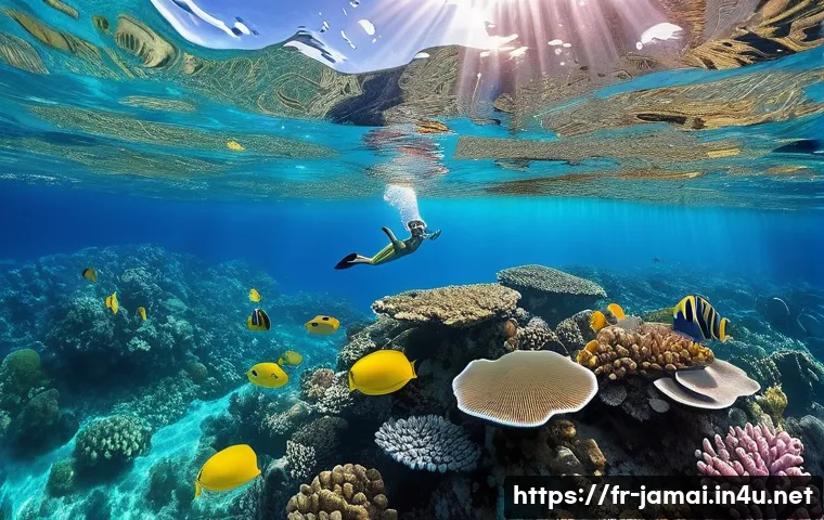 자메이카 기후와 여행 적기 관련 이미지 2